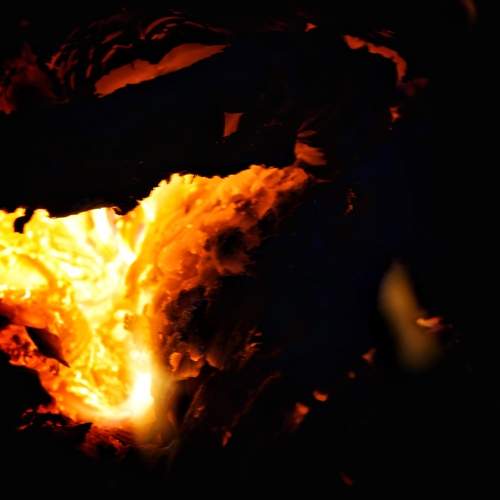 Photo #13552123