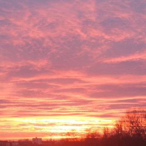 Photo #13552143