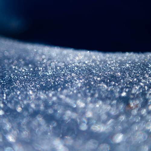 Photo #13552194