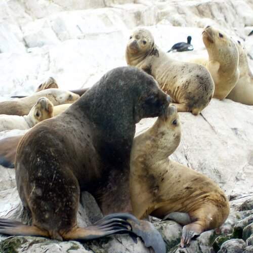 Photo #13552248