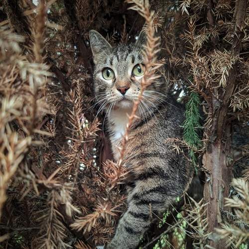 Photo #13552320