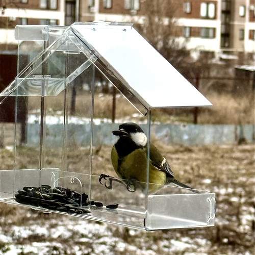 Photo #13552476