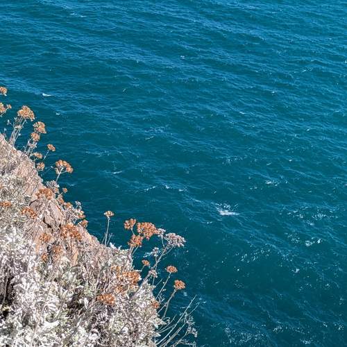 Photo #13552497