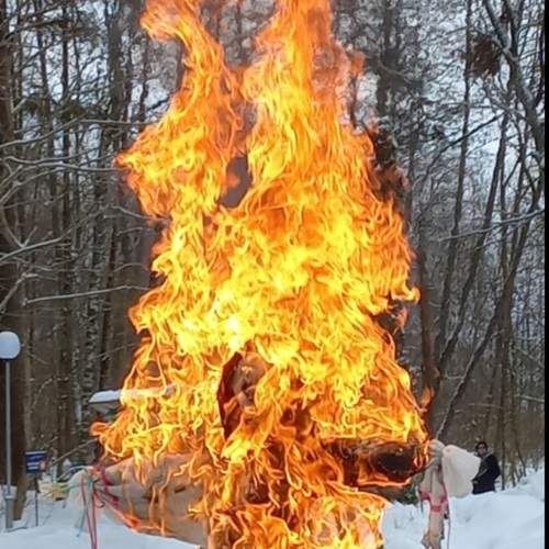 Photo #13552591