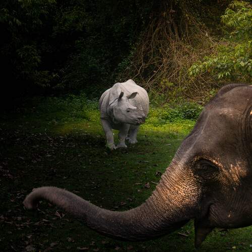 Photo #13552604