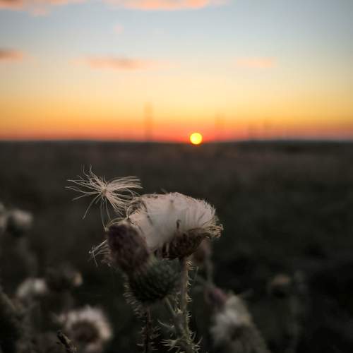 September sunset.