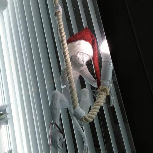 Photo #13552761