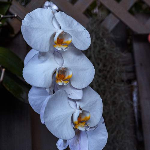 Photo #13552931