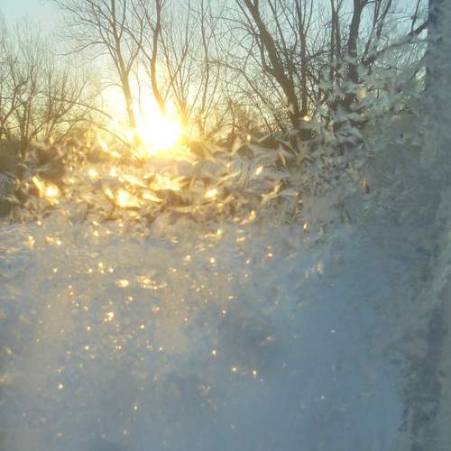 Photo #13553021