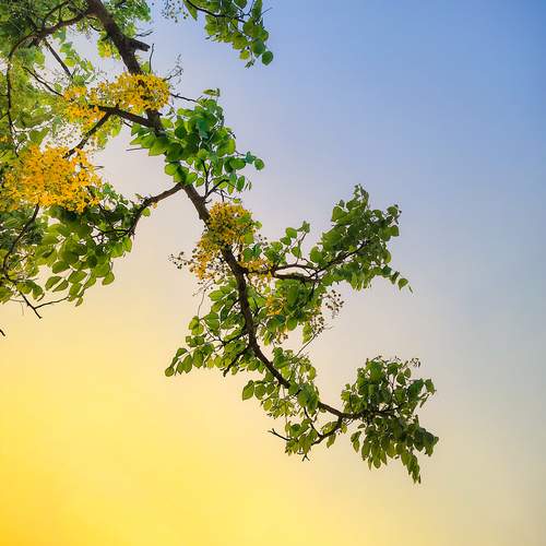 Photo #13553025