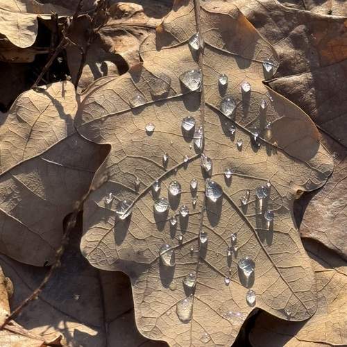 Photo #13553069