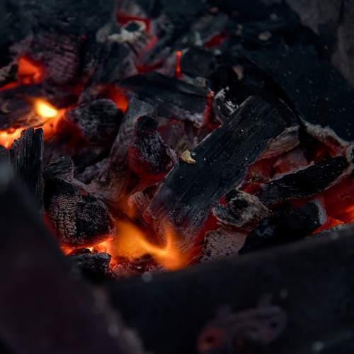 Photo #13553140