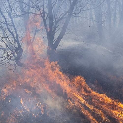 Photo #13553211
