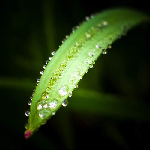 Photo #13553241