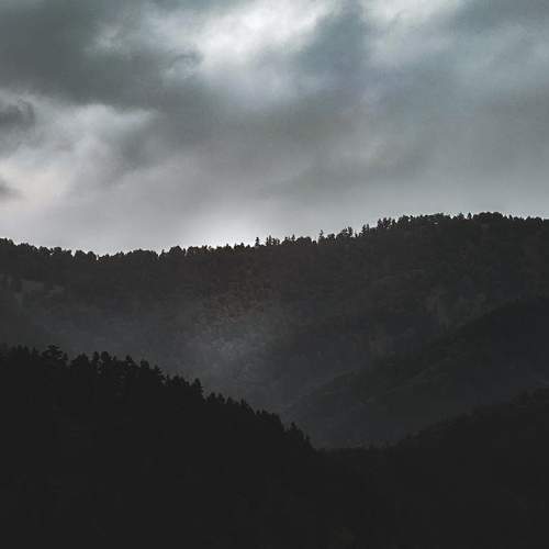 Photo #13553267