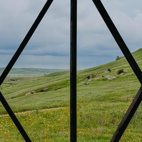 Photo #13553412