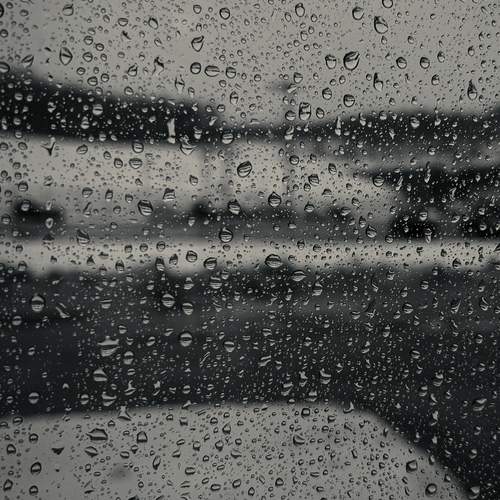 Photo #13553445