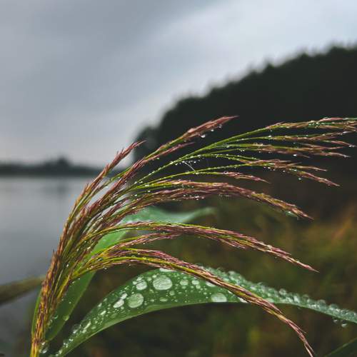 Photo #13553447