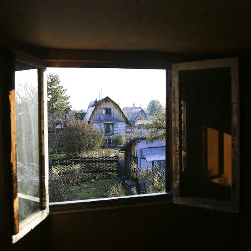Photo #13553448
