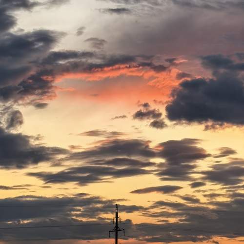 Photo #13553475