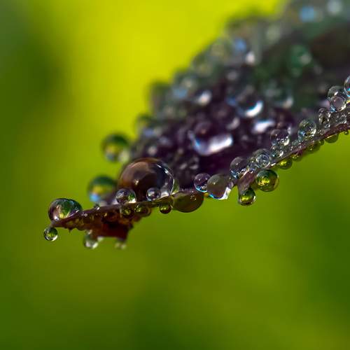 Photo #13553562