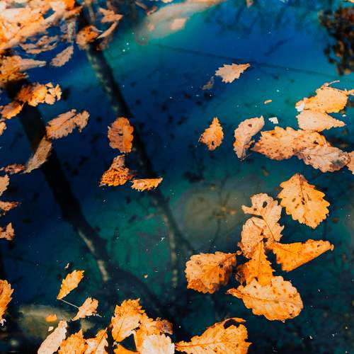 Photo #13553596