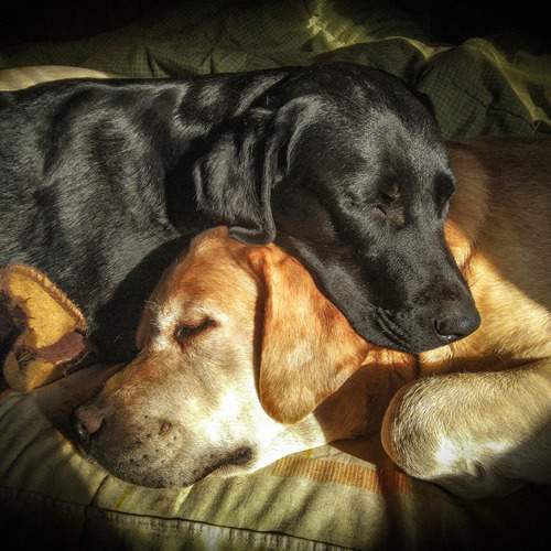 Photo #13553743