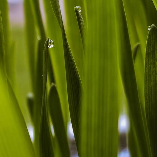 Photo #13553837
