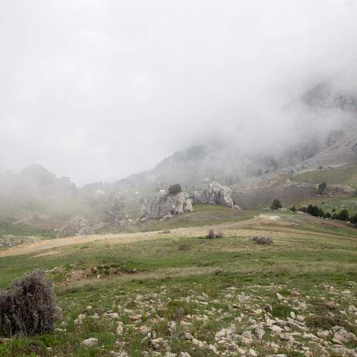 Photo #13553882