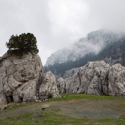 Photo #13553887