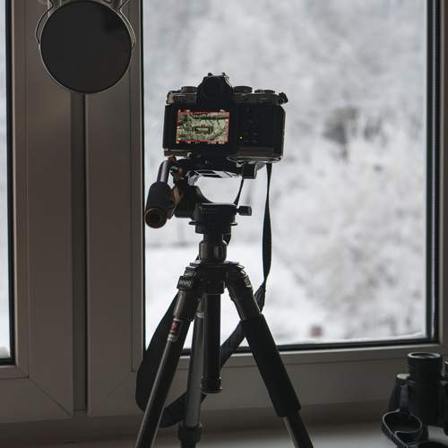 Photo #13553909