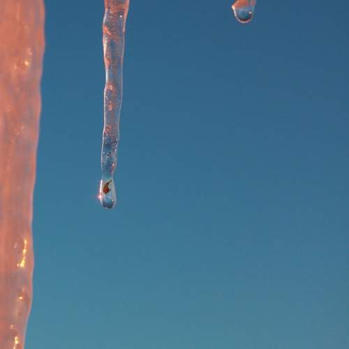 Photo #13553930