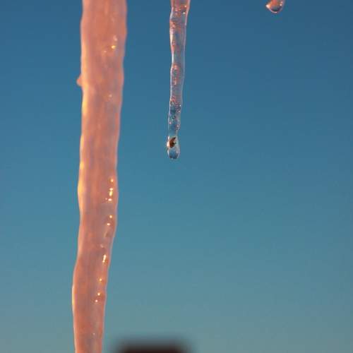 Photo #13553936