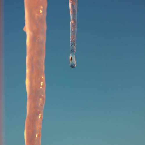 Photo #13553937