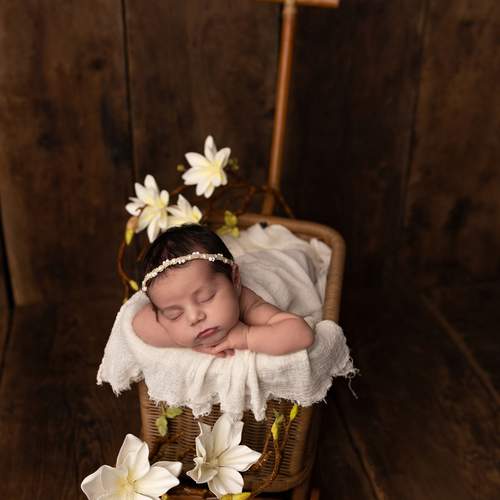 Photo #13553962