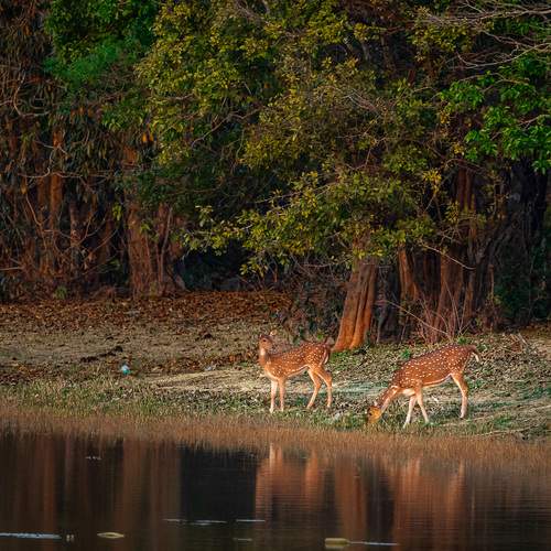 Photo #13553964