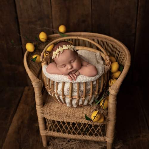 Photo #13554032