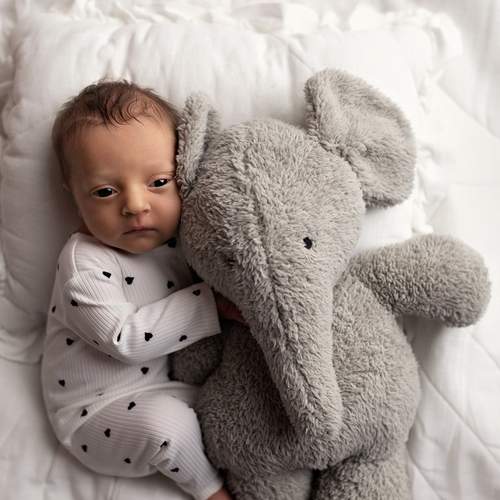 Photo #13554036