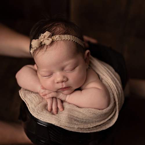 Photo #13554038