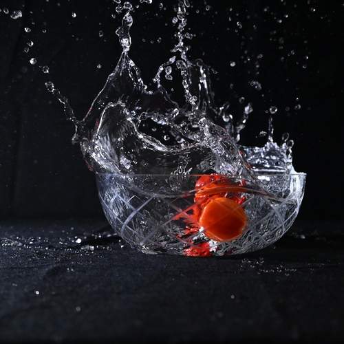 Photo #13554076