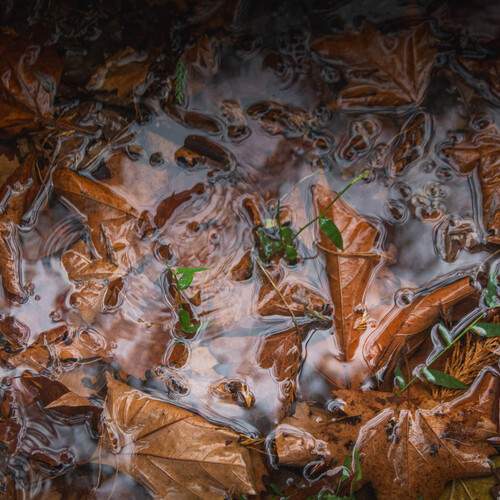 Photo #13554105