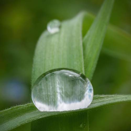 Photo #13554126