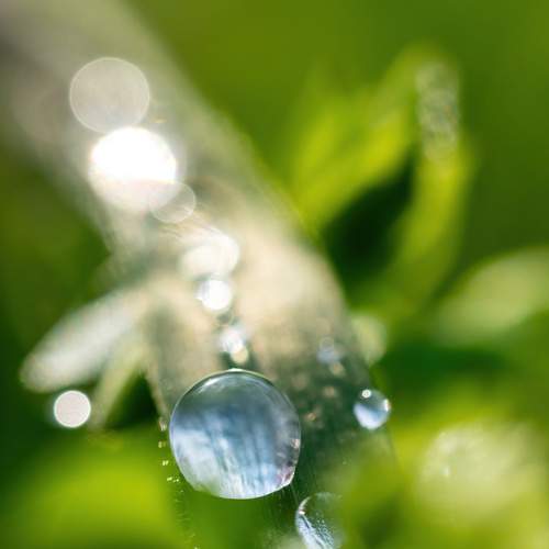 Photo #13554127