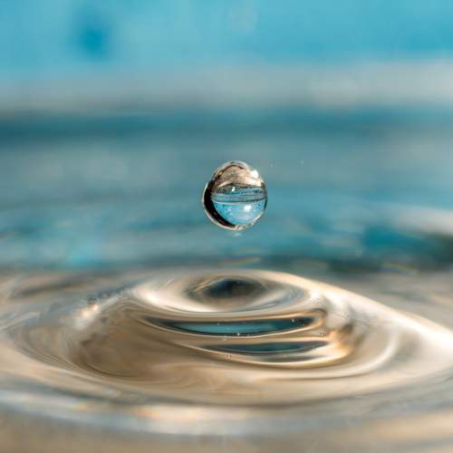 Photo #13554128