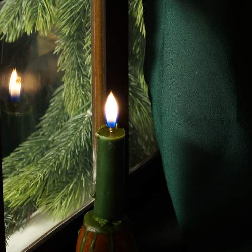 Photo #13554228