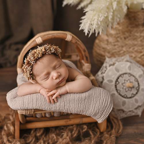 Photo #13554243