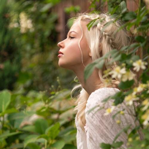 Photo #13554290
