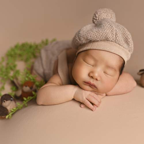 Photo #13554297