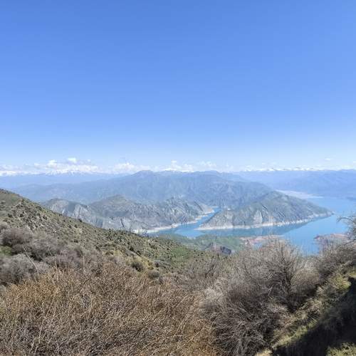 Photo #13554332