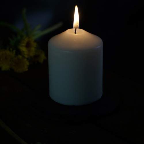 Photo #13554564